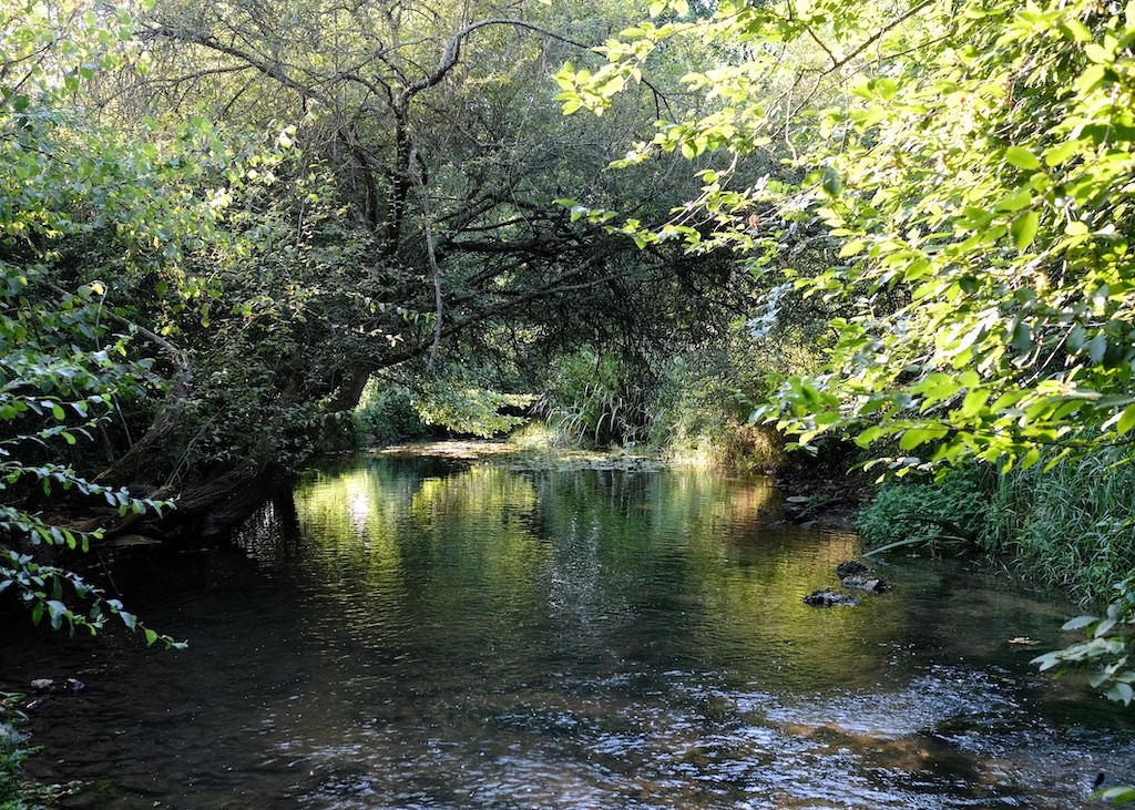 River at UTLT, Charente